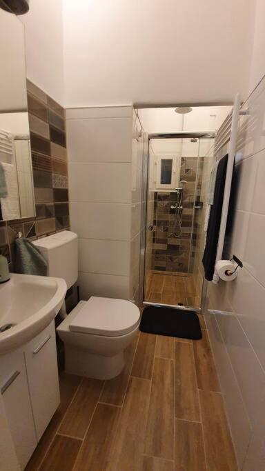 Violet Apartment With Air Condition Будапеща Екстериор снимка